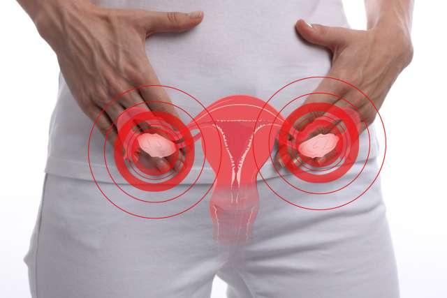 女性身体与子宫和卵巢插图